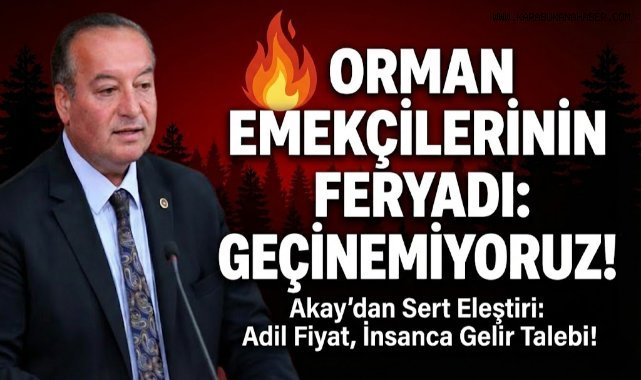 Cevdet Akay: Orman Emekçileri Yoksulluğa Mahkûm Ediliyor