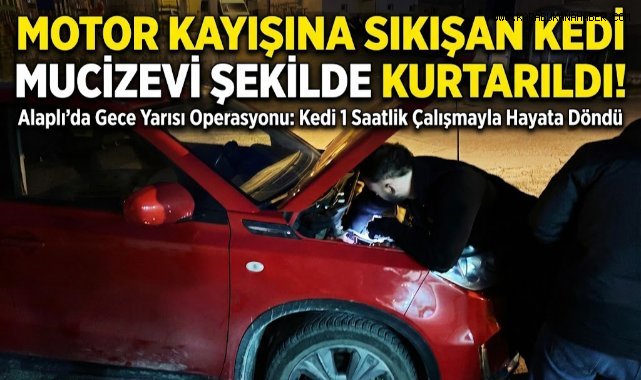 Otomobilin motoruna sıkışan kedi için seferber oldular