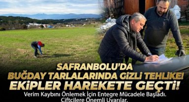 Safranbolu'da buğday entegre mücadelesi sahada sürüyor!