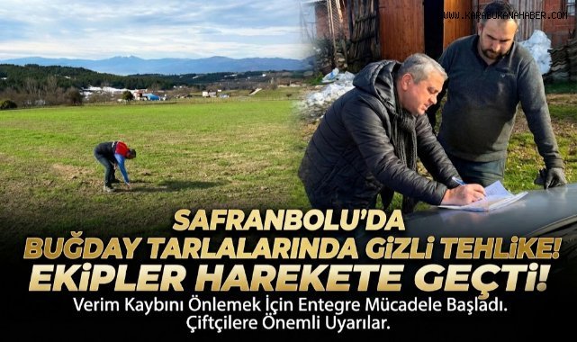 Safranbolu'da buğday entegre mücadelesi sahada sürüyor!