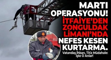 Zonguldak Limanı’nda Tellere Takılan Martı Kurtarıldı