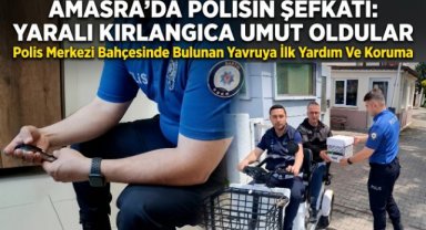 Yaralı kırlangıca polis şefkati