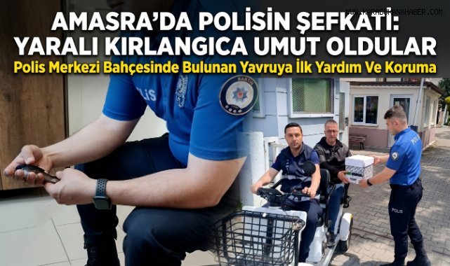 Yaralı kırlangıca polis şefkati