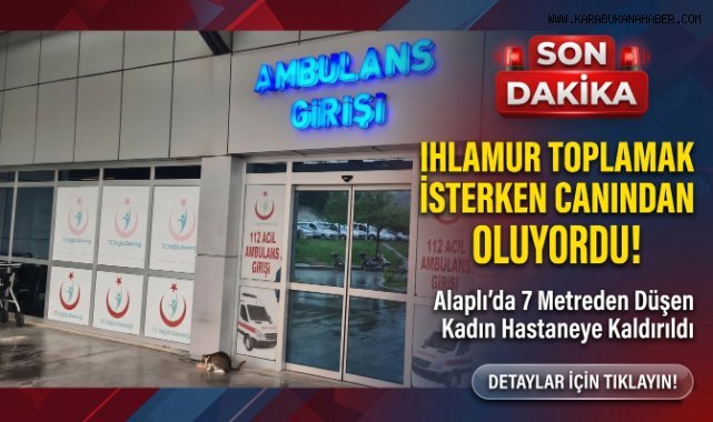 Ihlamur ağacından düşen kadın yaralandı