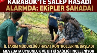 Karabük'te Salep Hasadı Kontrolleri Başladı