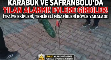 Karabük'te Yerleşim Alanlarında Görülen Yılanlar Doğaya Bırakıldı