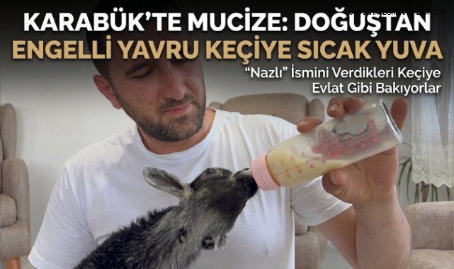 Doğuştan engelli yavru keçiyi sahiplenip evlatları gibi büyütüyorlar