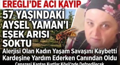 Eşek arısı sokan kadın hayatını kaybetti