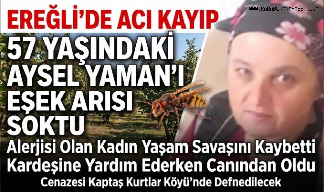 Eşek arısı sokan kadın hayatını kaybetti