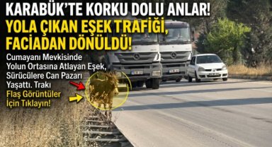 Kara yoluna çıkan eşek trafiği tehlikeye düşürdü