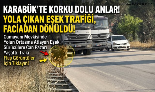 Kara yoluna çıkan eşek trafiği tehlikeye düşürdü