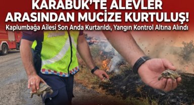 Karabük'te Ot Yangını Paniği: Kaplumbağa ve Yavrularını Jandarma Kurtardı