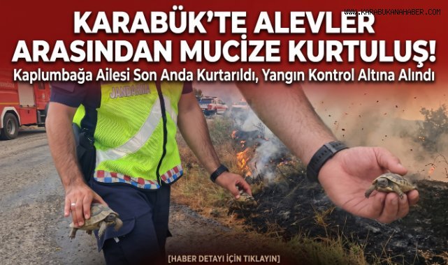 Karabük'te Ot Yangını Paniği: Kaplumbağa ve Yavrularını Jandarma Kurtardı
