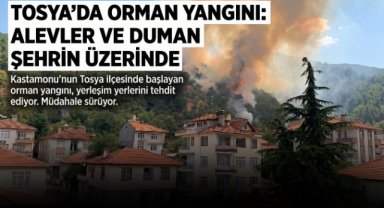 Kastamonu'da orman yangınında 40 dönümlük alan zarar gördü