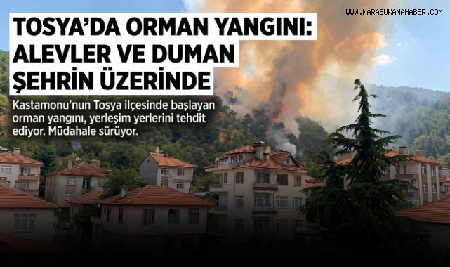 Kastamonu'da orman yangınında 40 dönümlük alan zarar gördü