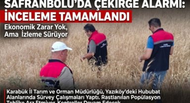 Safranbolu'da Çekirge Popülasyonu Yakından Takip Ediliyor