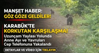 Yaylaya giderken ayı ve yavrularıyla karşılaştılar