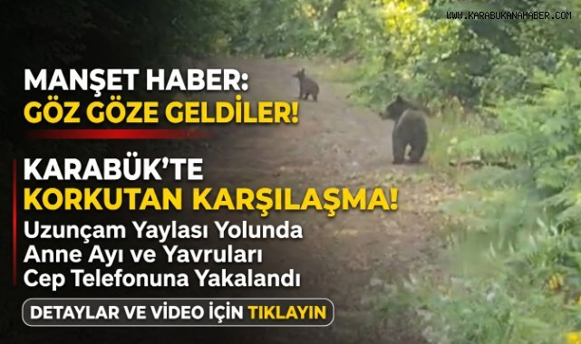 Yaylaya giderken ayı ve yavrularıyla karşılaştılar