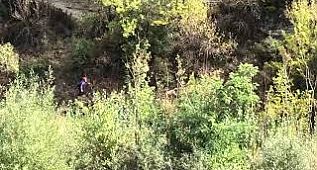 Karabük'te iki koyun mahsur kaldı