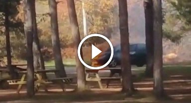 Park halindeki otomobil yandı 