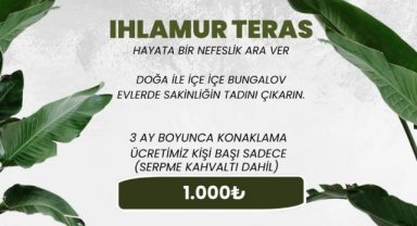 Yenice Ihlamur teras 1